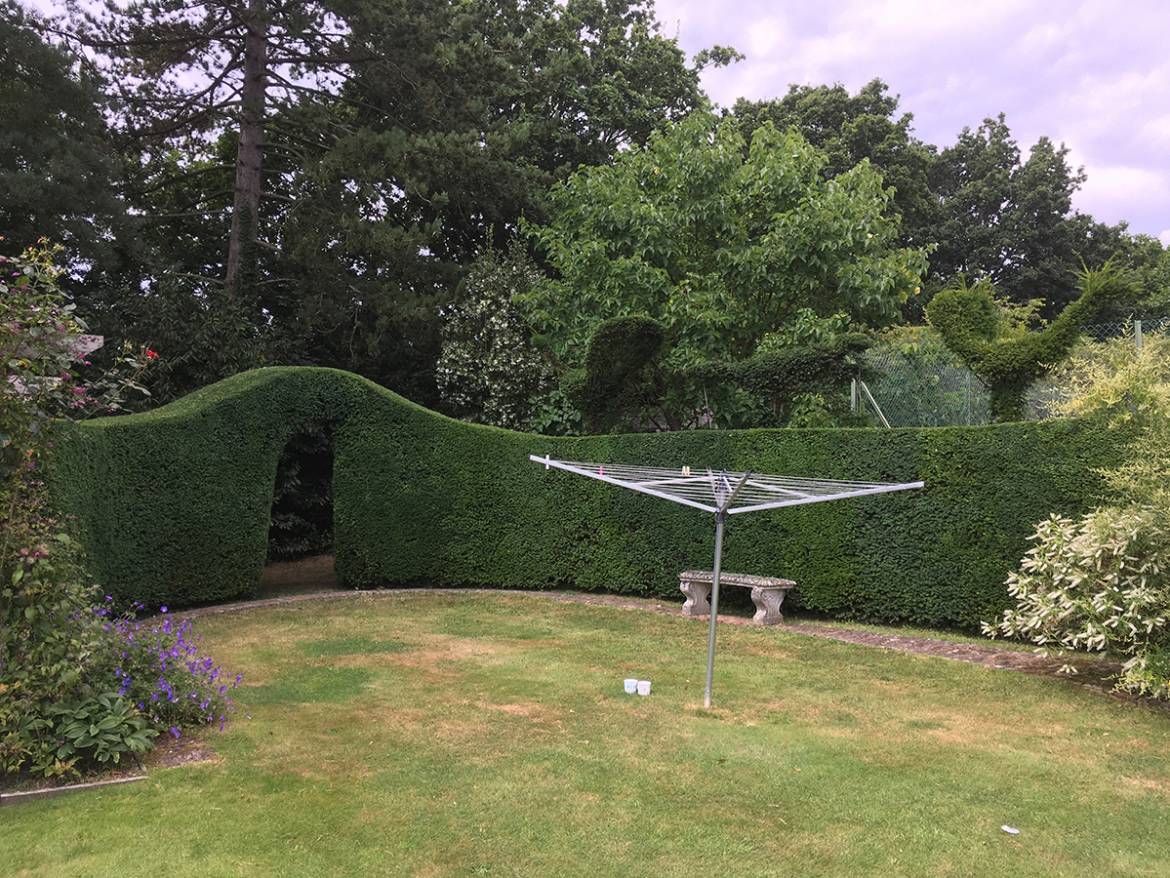 GSH-Tree-Surgery-East-Sussex-Kent-Hedge-Cuttin-1.jpg